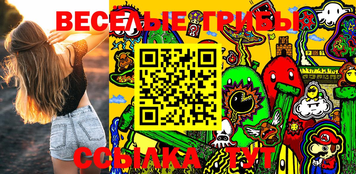 Рассказово  Галлюциногенные грибы Psilocybe  Вход с VPN 