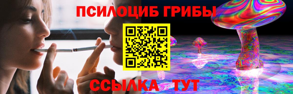 Псилоцибиновые грибы GOLDEN TEACHER Рассказово